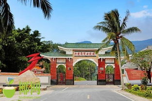 红色海南 红色六连岭 海南的 井冈山