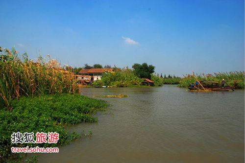 国庆预演 寻个乡野味十足的悠闲地