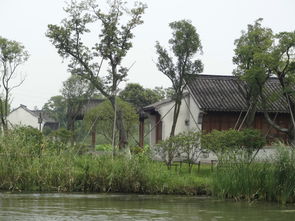 芦荡火种 沙家浜一日游