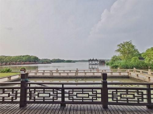 带你重新认识不一样的沙家浜景区