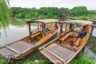 芦荡唱晚,夜宿沙家浜,枕着虫鸣入睡 乐途旅游网