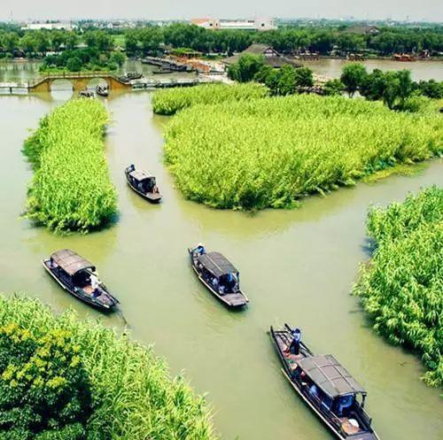 春色莫辜负,常熟两大景点,沙家浜VS尚湖,哪个更值得一去?