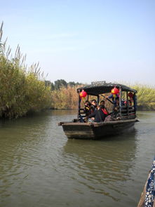 20101120 芦苇荡 沙家浜