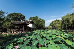 每日趣谈 假期旅行了解一下 这些绝佳旅行地,填满你的假期