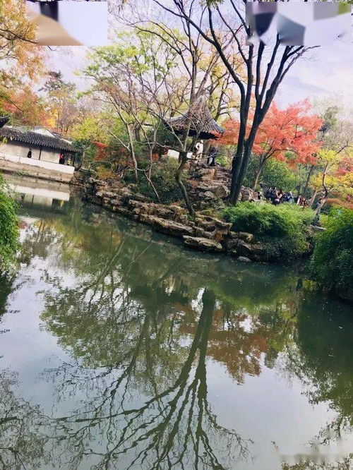 游王牌园林 夜游周庄 邂逅沙家浜