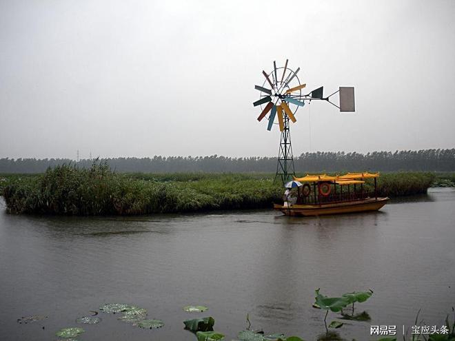 宝应射阳湖畔荷园的美丽传说