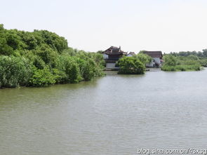 游走在沙家浜湿地公园