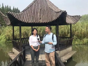 走进沙家浜革命历史纪念馆,寻访当年 沙家浜 的故事