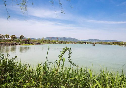 清明出游好去处 全国多景区免费开放，沙家浜成无锡游客优选