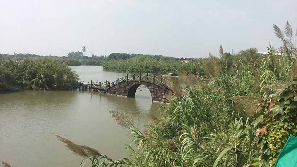 沙家浜风景区 与朋友一同探索常熟的水乡风情