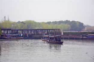 苏州博越车友会常熟分会沙家浜踏青游 春风十里，车友情深