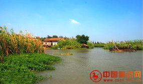 食客推荐5条逍遥觅蟹自驾线 沙家浜旅游