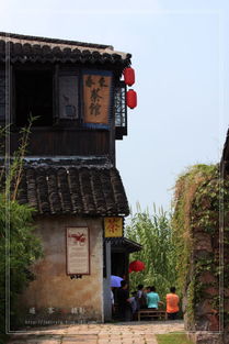 沙家浜游记——常熟水乡风韵与红色记忆的完美交融