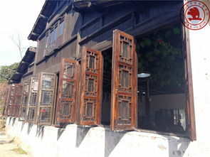 沙家浜慢走 一家人的水乡时光漫记