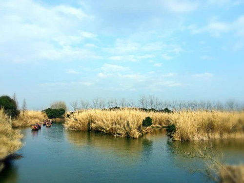 秋游苏州沙家浜 一场色香味俱全的江南寻味之旅