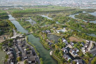 三天二晚玩转沙家浜 荷花满池、紫色花海与特色民宿的完美邂逅