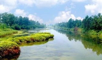 沙家浜·溱湖湿地2日游 水乡红色记忆与生态画卷的交融之旅