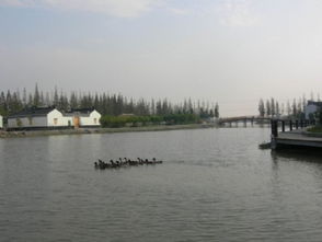 水韵乡愁，红色热土 走进蒋巷村与沙家浜