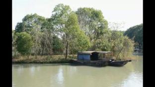 红色水乡，诗画沙家浜——一段穿越历史与自然的旅程