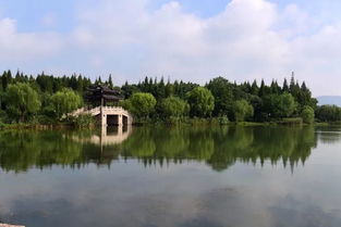 金秋自驾行 尚湖烟波与沙家浜情怀